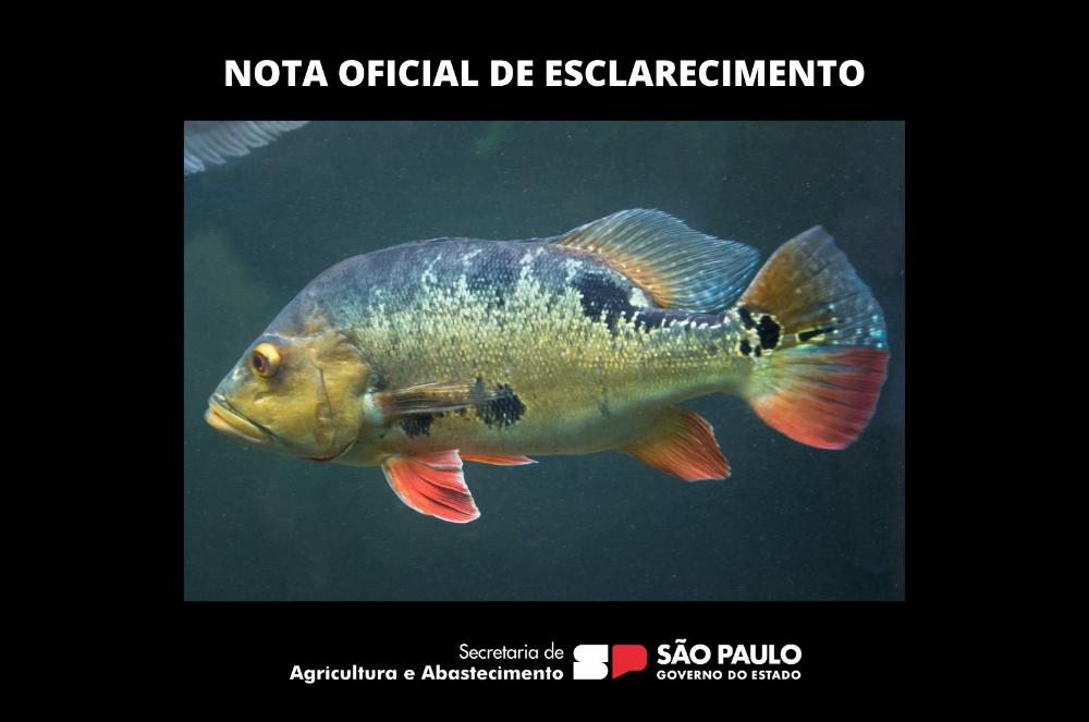 Nota de Esclarecimento: PL N° 614/2018