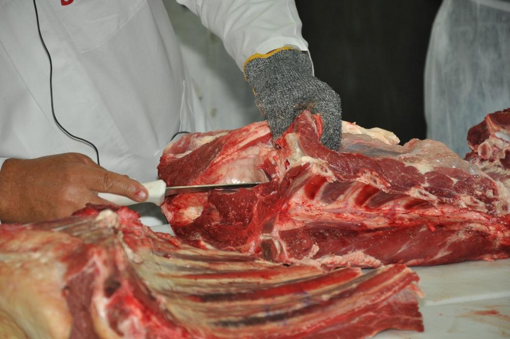 Atendendo a demanda do setor, Ital realiza curso inédito sobre shelf life de carnes