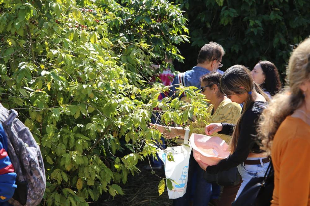 16ª edição do Sabor da Colheita atrai público recorde