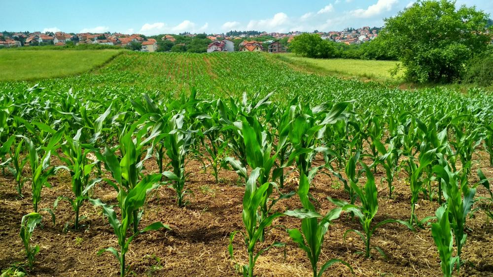Secretaria de Agricultura apresenta novas soluções para o produtor rural regularizar sua propriedade