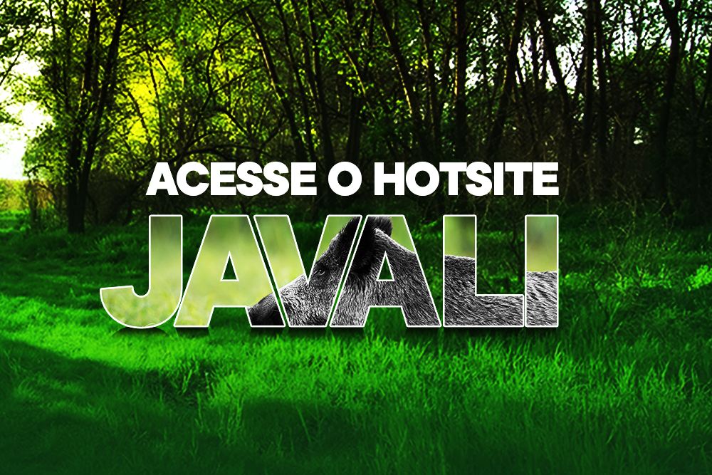 Alerta de risco sanitário – Hotsite Javali