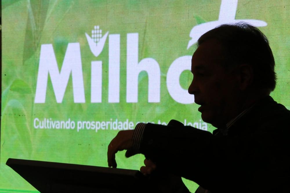 Programa Milho+ SP fomenta produção em Adamantina