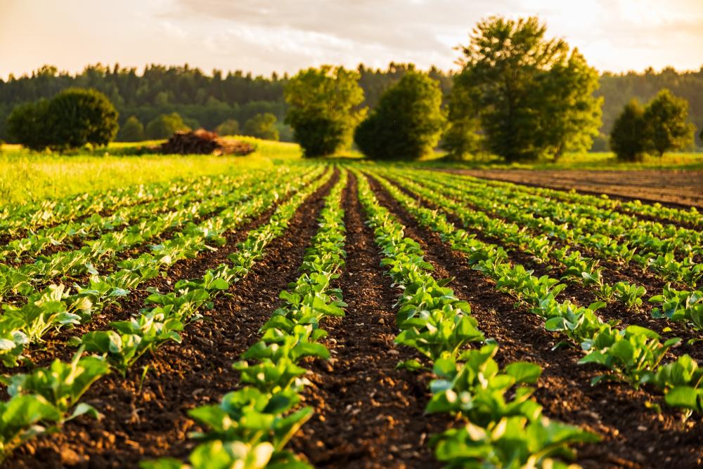 FEAP atinge mais de 3 mil Subvenções de Seguro Rural