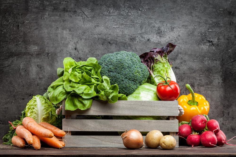 SEGURANÇA ALIMENTAR