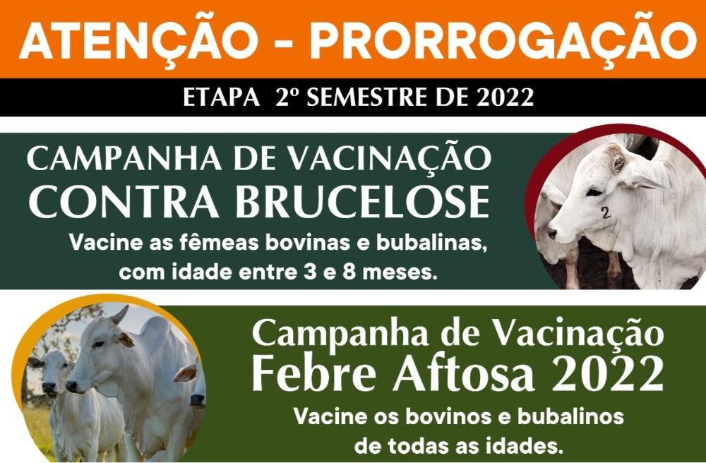 Campanhas de vacinação contra febre aftosa e brucelose são prorrogadas em São Paulo