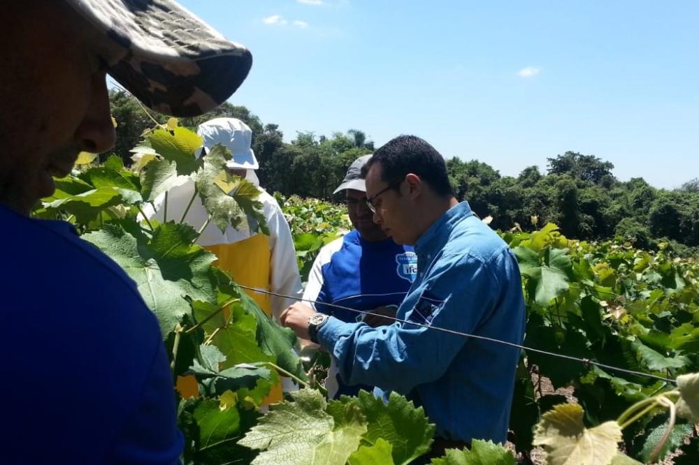 IAC participa de ação do SENAR e CropLife para treinamento de instrutores no modo correto de aplicação de defensivos