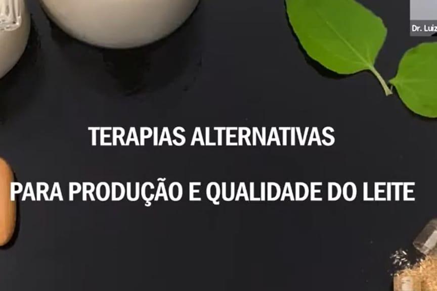 Benefícios aos animais, produtores e consumidores: terapias alternativas na produção e qualidade do leite são estudadas no IZ