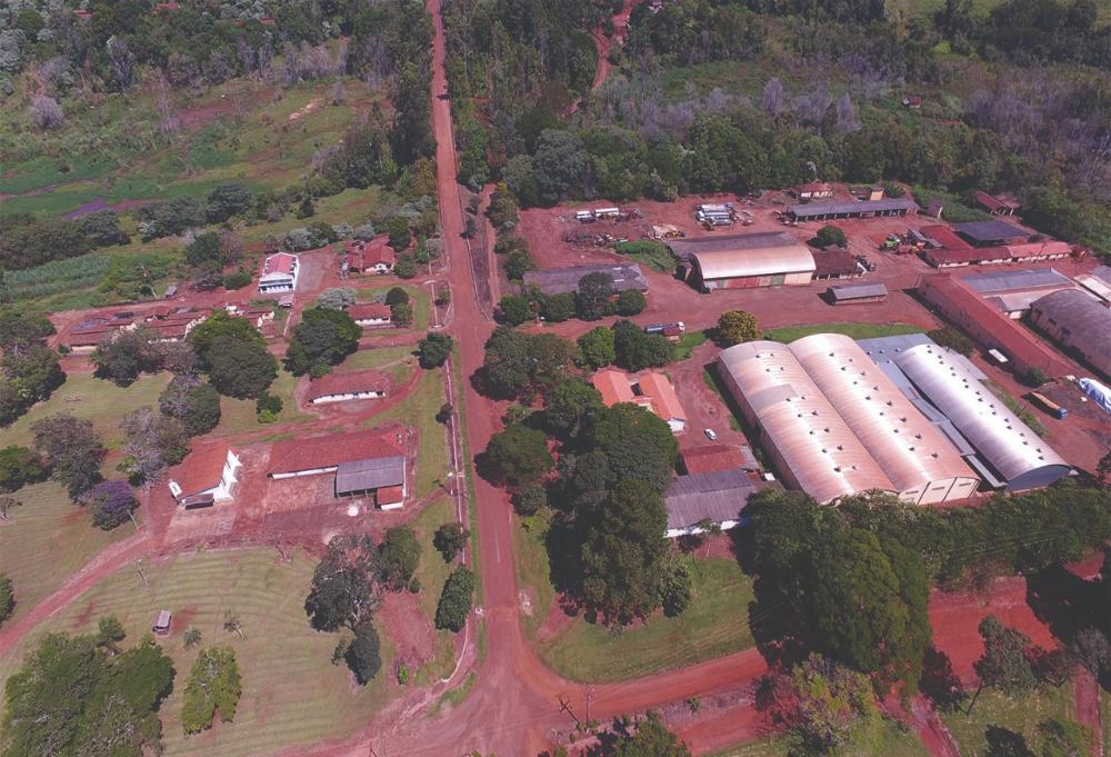 CATI: 55 anos fazendo história na história do agro paulista