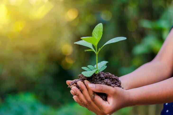 Integração meio ambiente e agricultura é tema de live realizada pela SAA