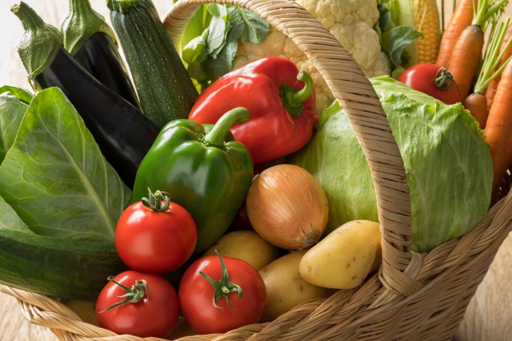 Levantamento inicial mostra sinais positivos para as safras agrícolas referente à produção de 2021/22