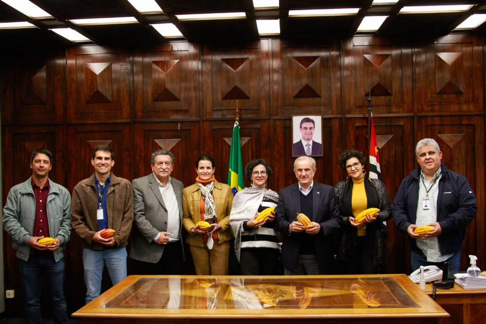 Incremento à produção de cacau em SP é tema de reunião na SAA
