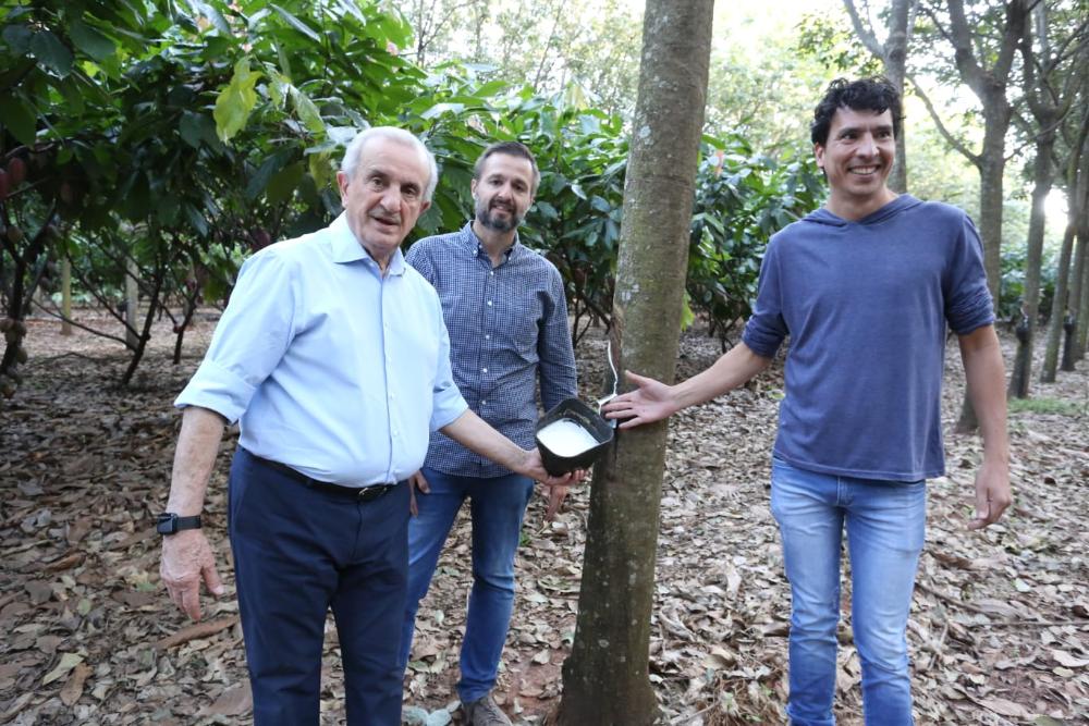 Secretário de Agricultura e Abastecimento do Estado de São Paulo visita fazenda que utiliza o sistema de integração cacau-seringueira