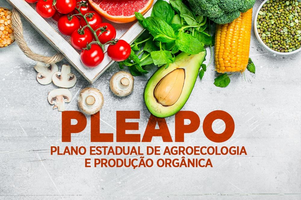 Plano Estadual de Agroecologia e Produção Orgânica (PLEAPO) – Informações