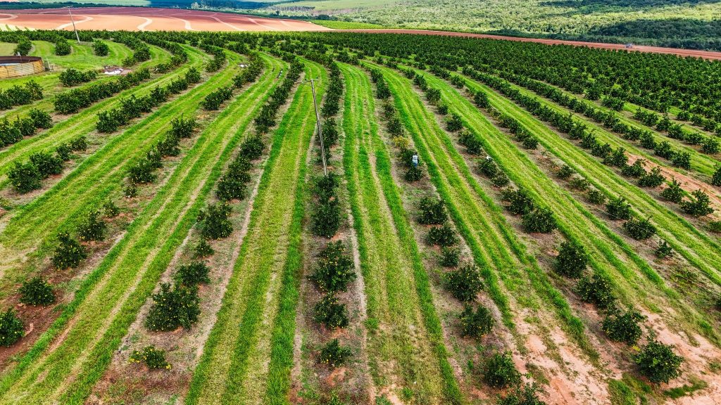 Superávit do agro paulista registra US$ 13,83 bilhões de janeiro a agosto de 2026