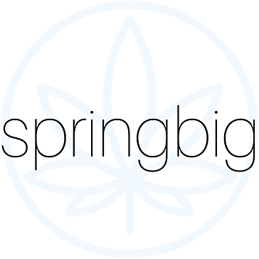 SpringBIG