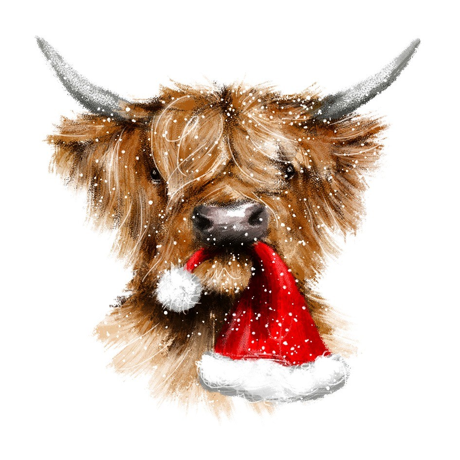 St Luke's Hospice Sheffield 2023 Charity Christmas Cards, 15 Designs - Picture 26 of 32