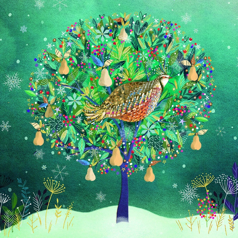 St Luke's Hospice Sheffield 2023 Charity Christmas Cards, 15 Designs - Picture 28 of 32