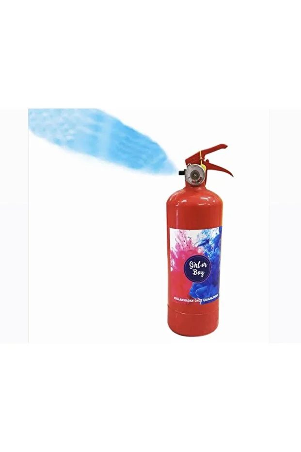 Görsel 2