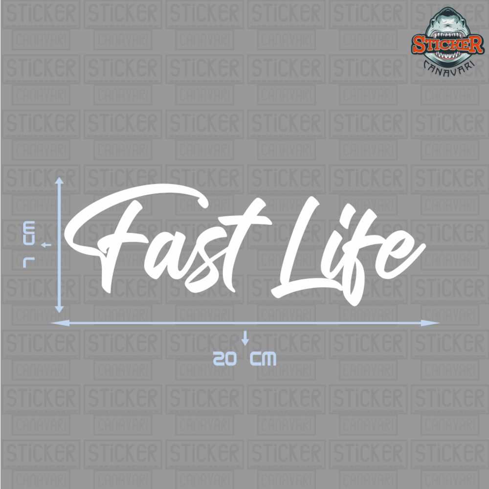 Fast Life Sticker