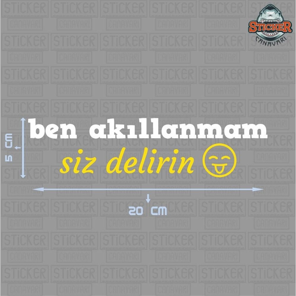 Ben Akıllanmam Siz Delirin Sticker