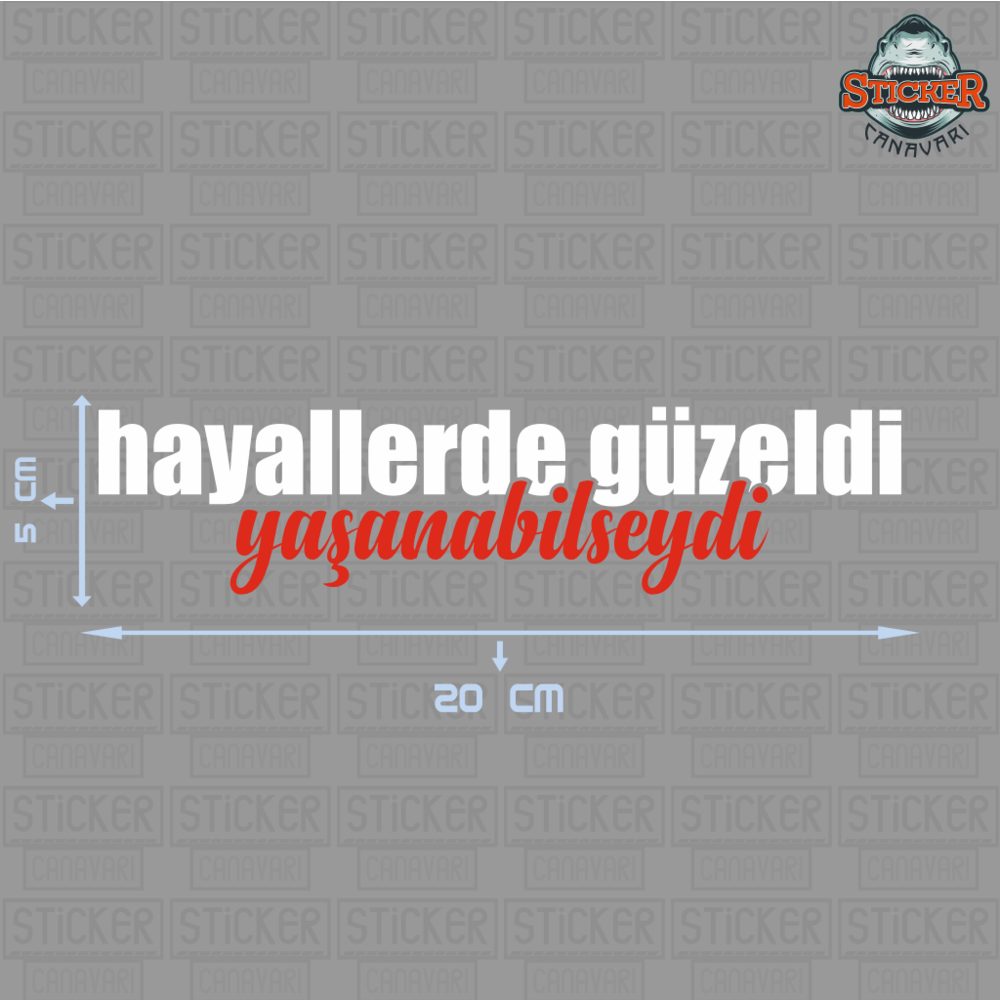 Hayallerde Güzeldi Yaşanabilseydi Sticker
