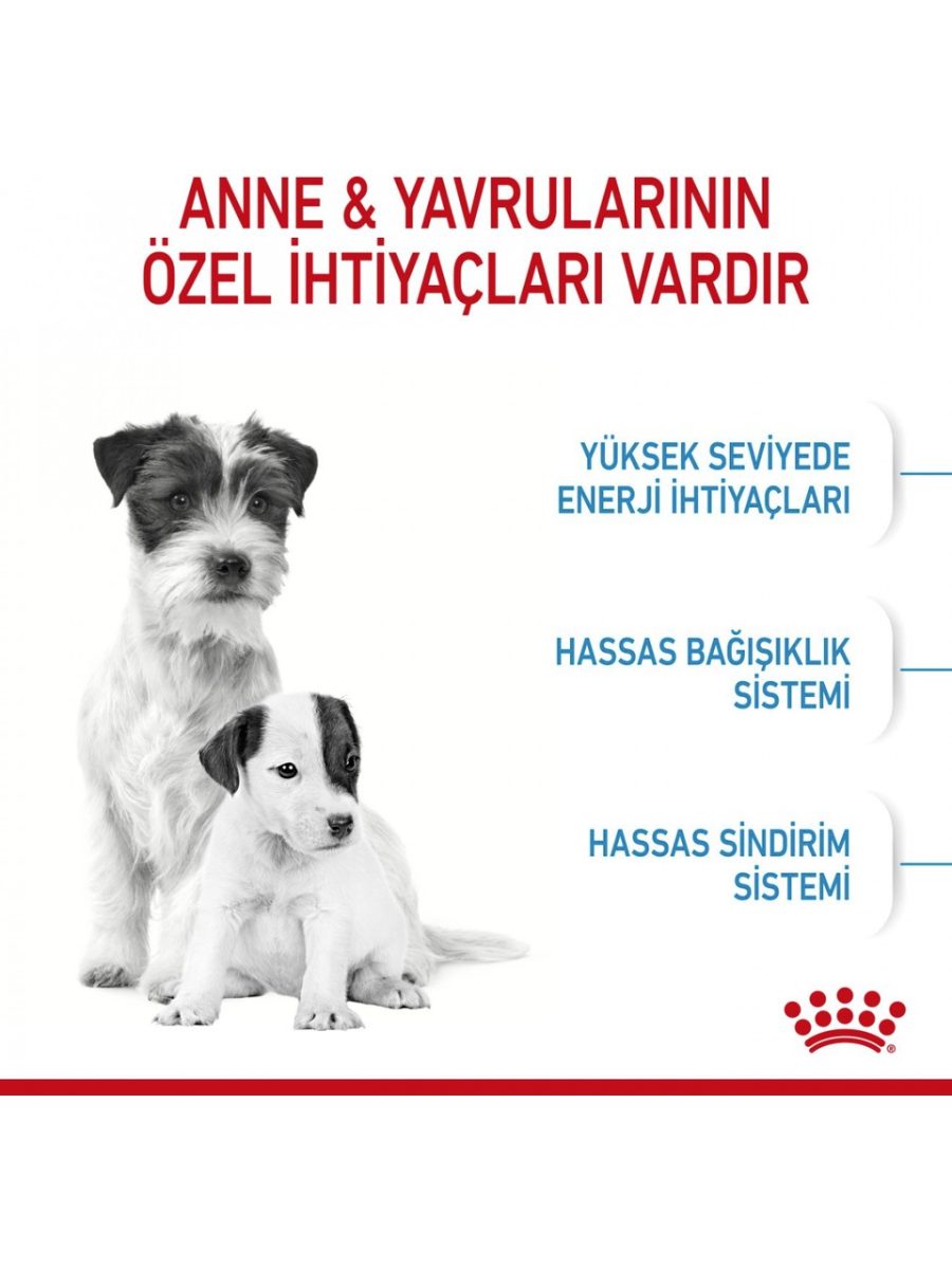Görsel 5