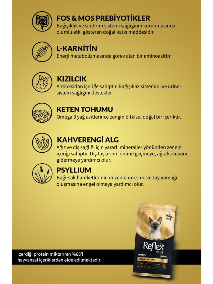 Görsel 3