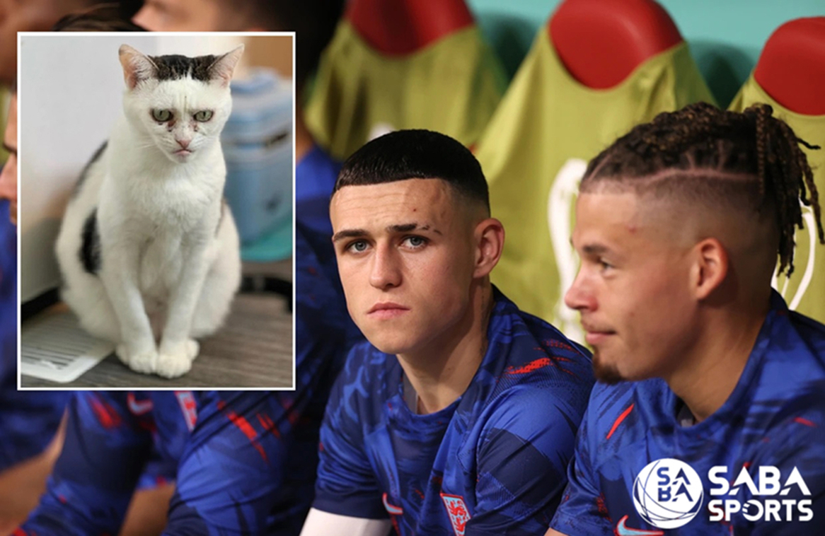 Phil Foden looked like an angry cat Phil Foden looked like an angry cat