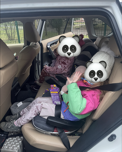 Задній ряд RAV4
