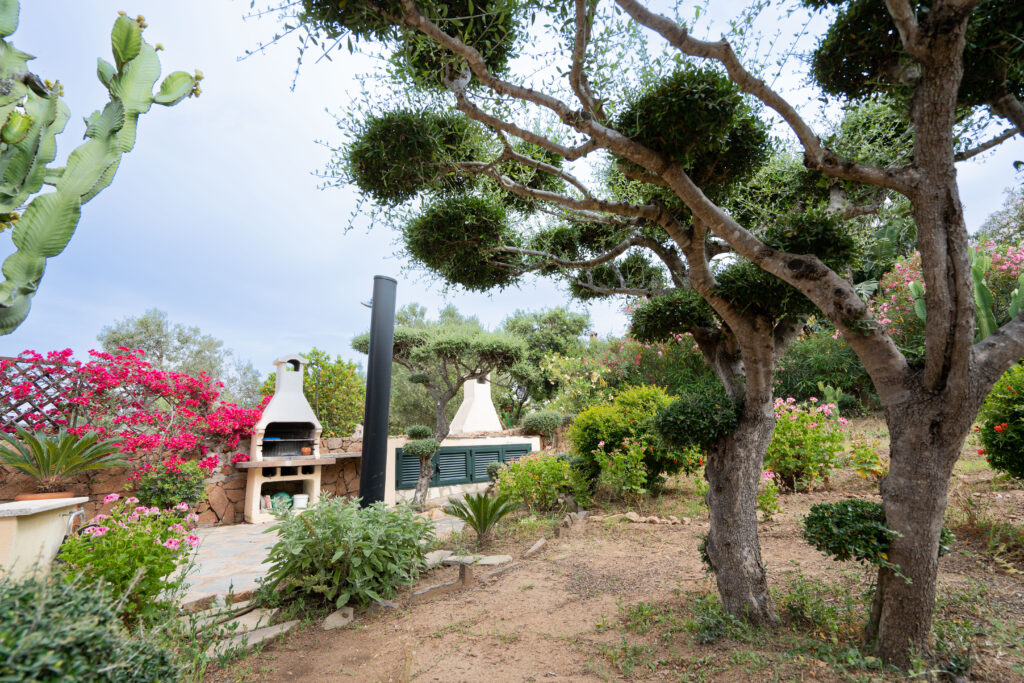 Villa the Butterflies