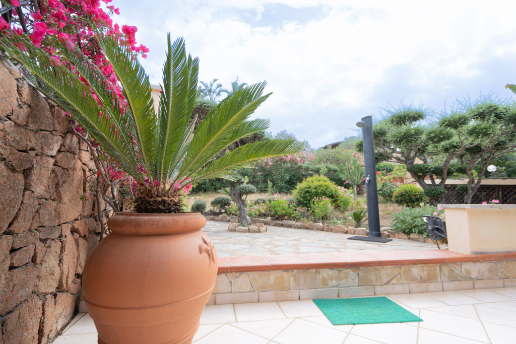 Villa the Butterflies 12