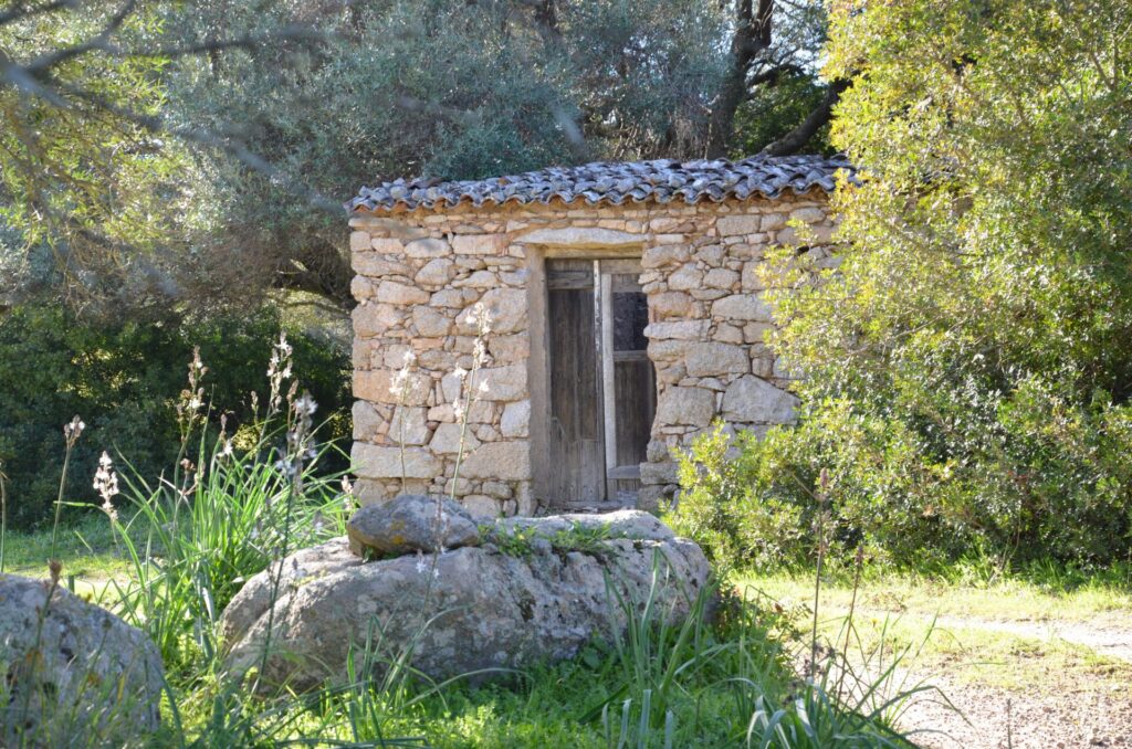 Terreno agricolo zona E2 di 5 ettari – Telti (Gallura) 13