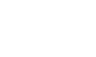 Marca Falcon · Safetline