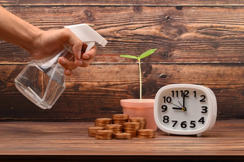 image detail artikel