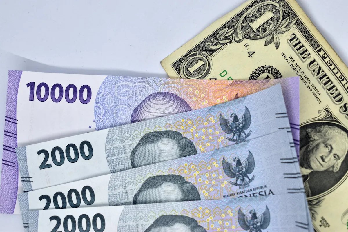 image detail artikel