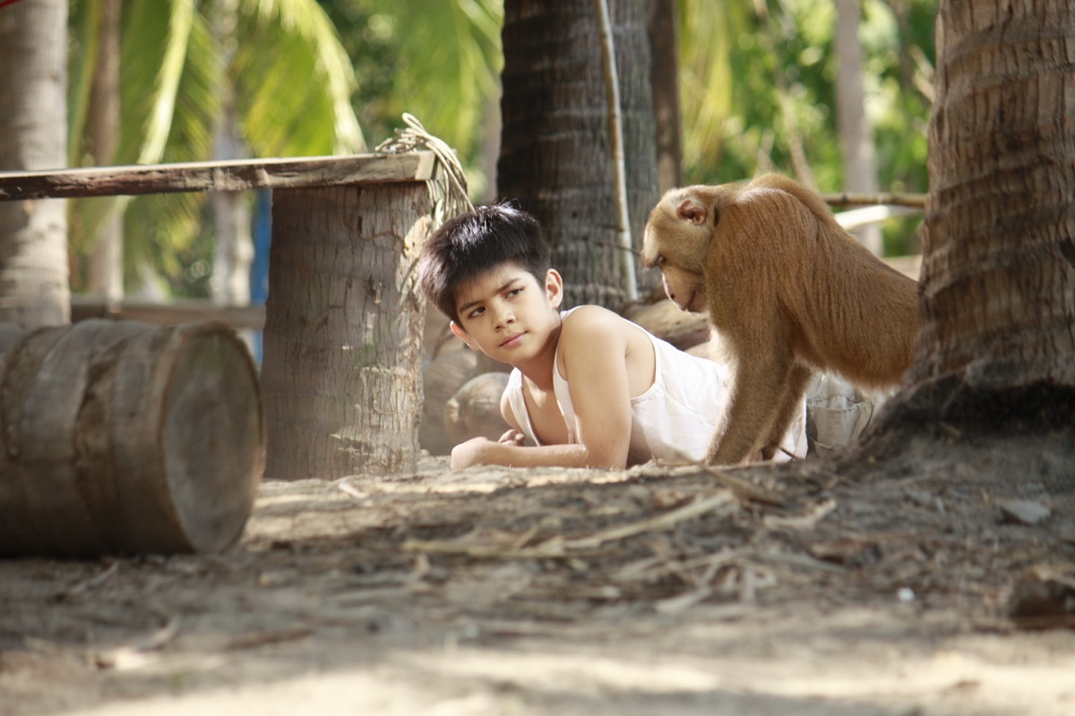 กะปิ ลิงจ๋อไม่หลอกจ้าว (Kapi)