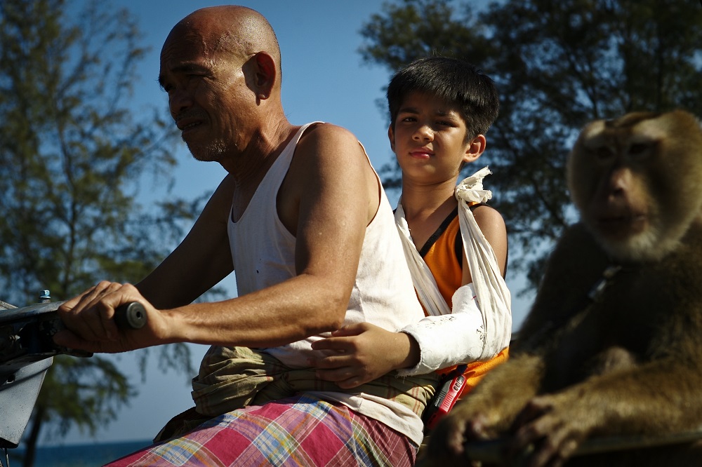 กะปิ ลิงจ๋อไม่หลอกจ้าว (Kapi)