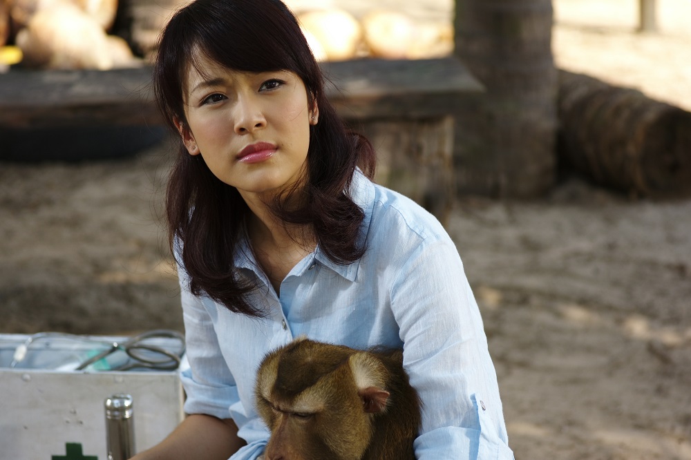 กะปิ ลิงจ๋อไม่หลอกจ้าว (Kapi)