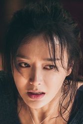 ฉินหลาน (Qin Lan)