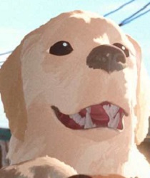 ลาบราดอร์ (Labrador)