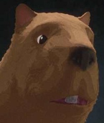 คาปิบารา (Capybara)