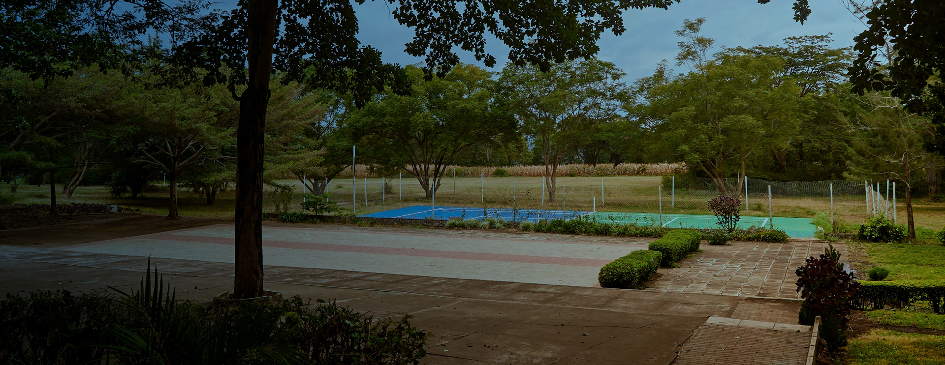 ESAMI — 8