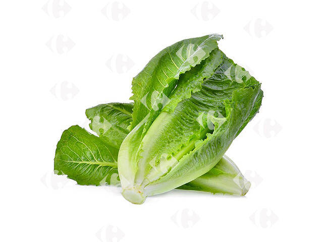 Salade Laitue Romaine à La Pièce.