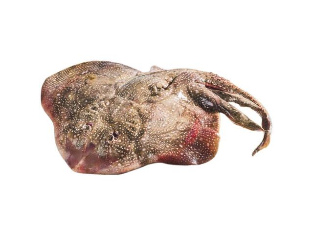 Raie à la Pièce au kg