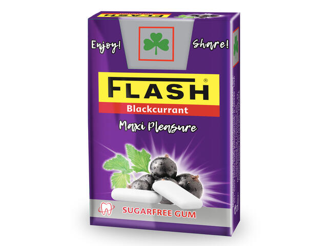 Chewing-Gum Cassis Flip-Top Flash 25g