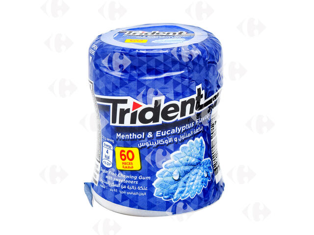 Chewing-Gum Menthe sans Sucre Trident 60 pièces