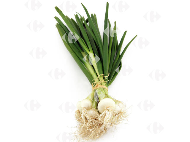 Oignon Frais Blanc 500g