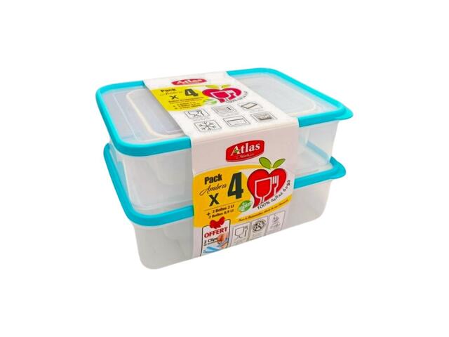 Lot de 4 Boîte Alimentaire 2 Grand Modèle et 2 Petit Modèle