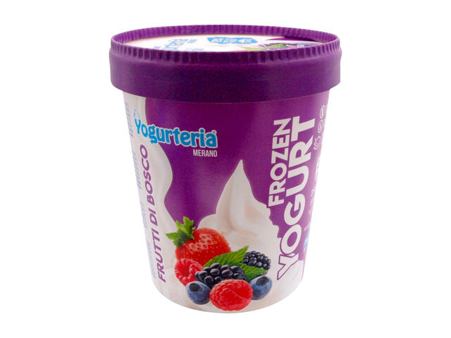 Pot Yaourt Fruit Rouge Sans Lactose Yogurteria 500ml.