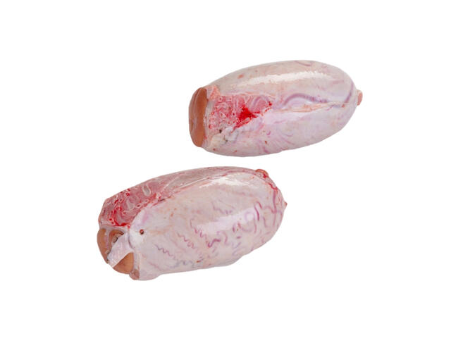 Rognon Blanc de Bœuf en Barquette 500g.